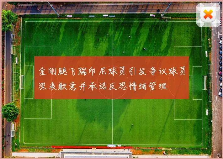 金刚腿飞踹印尼球员引发争议球员深表歉意并承诺反思情绪管理