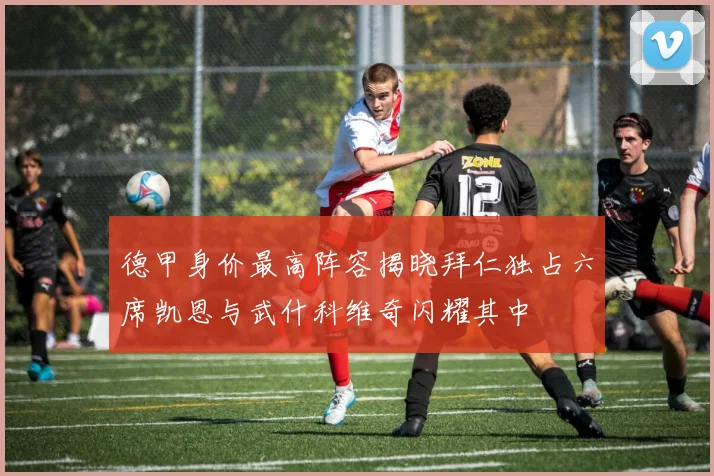 德甲身价最高阵容揭晓拜仁独占六席凯恩与武什科维奇闪耀其中